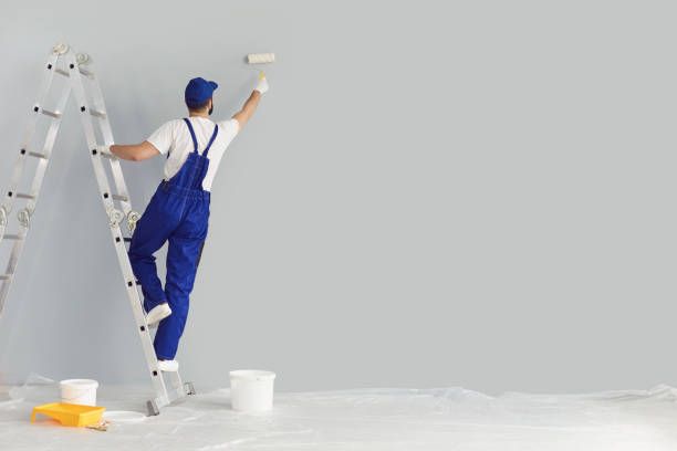 Building contractor painting grey wall with roller brush, copy space text. Back view of young construction worker renovating house